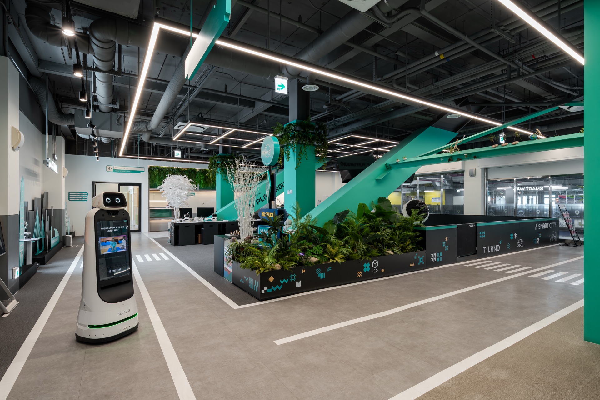 Exhibition & Experience Zone